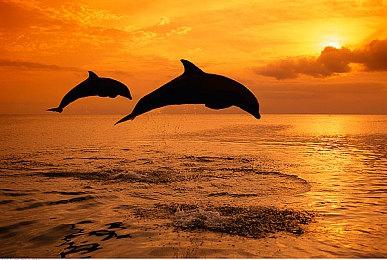 外媒评15款开放式黑帮题材游戏 《GTA3》等