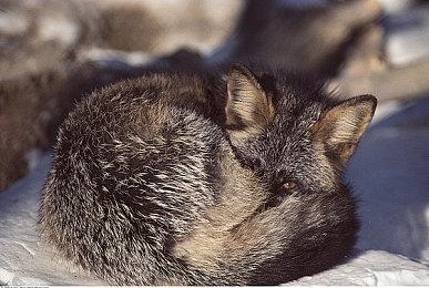 战神总监称《战神5》不会延期 请玩家保持冷静